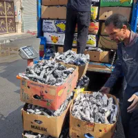 پخش زغال پسته .انواع زغال لیمو .چینی.کبابی