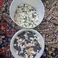 سنگ آکواریوم