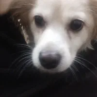 ة سگةهة خانم ۹م خیلی خوب خ ۹خ۹حخم م کذمذ