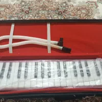 ملودیکا مدل سوان|سازهای بادی|سنندج, |دیوار