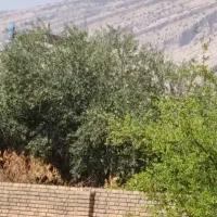 زمین پشت ایران خودرو 200 متر دونبش