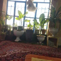 کارگاه-200متری