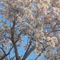 فروش آپارتمان ۱۰۸ متری ۳ خوابه در مولوی