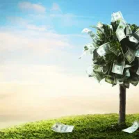 جذب سرمایه گذار /شریک تجاری برای خط تولید کارخانه