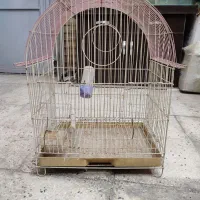 قفس پرنده (فیلم دارد)               باقرشهر شهرسنگ