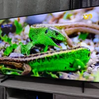 تلویزیون ال ای دی ۴۳اینج یونیوا دوگیرنده|تلویزیون و پروژکتور|اهواز, شهرک رزمندگان|دیوار