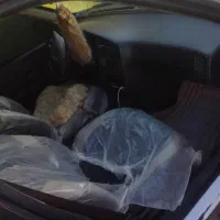 405|خودرو سواری و وانت|ایرانشهر, |دیوار