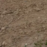 زمین-تجاری-مزرعه