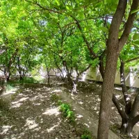 ۱۲۰۰متر سند تک برگ کردزار شهریار انشعابات کنتور|فروش خانه و ویلا|شهریار, کردزار|دیوار