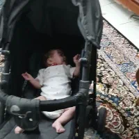 کالسکه|کالسکه و لوازم جانبی|کرج, حصارک بالا|دیوار