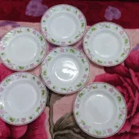 بشقاب ارکوپال ،لومینارک