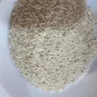 برنج طارم