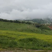 مسافر