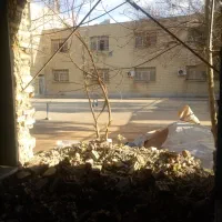 زمین-کوهان-کردر