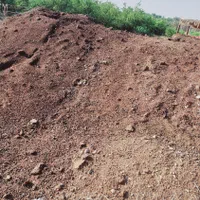 فروش کود گوسفند و گاو خاور  هشت تن