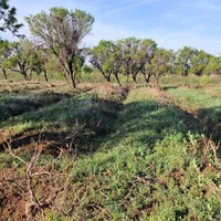 .باغ ۲۰۰۰هزارمتری با ۱.۵ساعت آب از موتور|فروش زمین و ملک کلنگی|قزوین, |دیوار