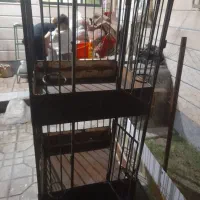 فروش قفس پرنده|لوازم جانبی حیوانات|نهاوند, |دیوار