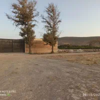 فروش-فروش-فروش