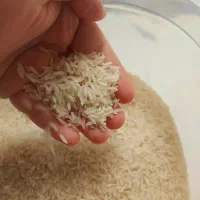 برنج طارم هاشمی درجه ۱ خوش عطر خوشپخت خوش  طعم|خوردنی و آشامیدنی|اصفهان, خانه اصفهان|دیوار