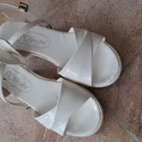 کفش مجلسی در حد نو|کیف، کفش، کمربند|سرپل ذهاب, |دیوار