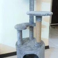 اسکرچر خونه گربه
