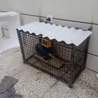 جوشکاری سیار به قیمت صنفی با کیفیت کار|خدمات پیشه و مهارت|گنبد کاووس, |دیوار