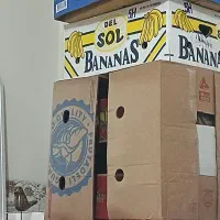 کارتن موزی برای اثاث کشی