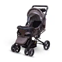 کالسکه دلیجان