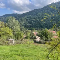 کلبه سوئیسی جنگلی|اجارهٔ کوتاهمدت ویلا و باغ|رشت, پسیخان|دیوار