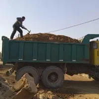کود حیوانی گاوی گوسفندی