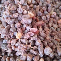 کشمش آفتابی