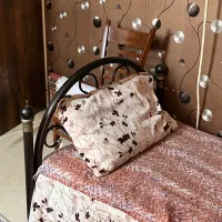 تخت خواب|تخت و سرویس خواب|قرچک, زیبا شهر|دیوار