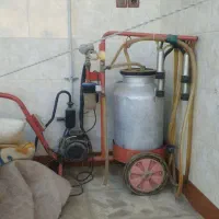 شیر دوش درحد