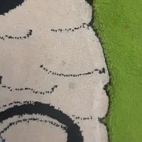 فرش اتاق کودک|فرش|یزد, |دیوار