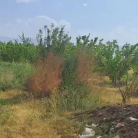 فروش باغ در روستای خوک از توابع شوط|فروش زمین و ملک کلنگی|شوط, |دیوار