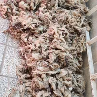 پشم گوسفند