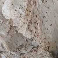 نان خشک اطراف دهگلان