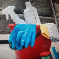 نیروی روز مزد خانم،حقوق مناسب