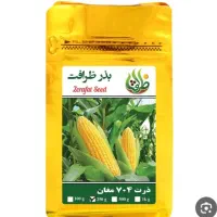بذر ذرت مغان کد ۷۰۴