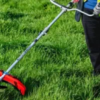 خدمات کشاورزی و باغداری|خدمات باغبانی و درختکاری|سامان, |دیوار