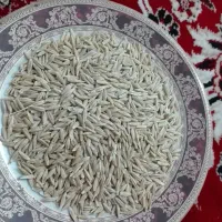جو سرا رود