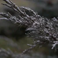 عکاسی در فضای باز