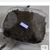 انواع سبزی باقلی .بادمجان کبابی.سیر|خوردنی و آشامیدنی|رشت, گلسار|دیوار