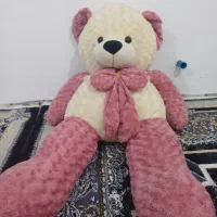 خرس یک متری دورنگ