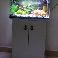 اکواریوم و تمام وسایل کامل بدونه ماهی