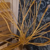 اباژور ایکیا