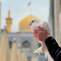 تور های اقتصادی مشهد