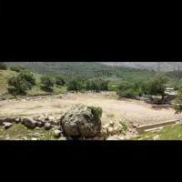 زمین مسکونی بهشت ویو جنگل