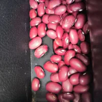 پخش -خرید و فروش حبوبات ایرانی