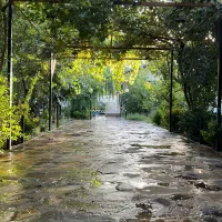 باغ-ویلاسندتک-برگ-شهرک-برند-انشعاب-قانونی